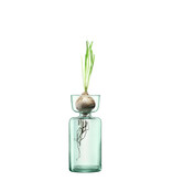 L.S.A. Canopy Bloembol Vaas 20 cm