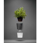 Eva Solo Kräutertopf mit Reservoir 11 cm