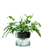 L.S.A. Canopy Vaas met Bewateringsysteem 22 cm