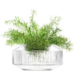 L.S.A. Rotunda Vaas 14 cm