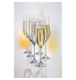 crystalex Waterfall  kristallen Champagneglazen. Set van 6 stuks