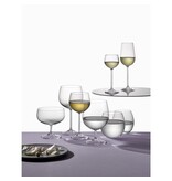 crystalex 380 ml Peony's Low Water Glazen set van 6