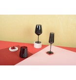 Black Champagne Flutes - Set van 6