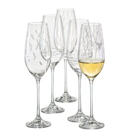 crystalex Tempo Kristallen Champagneglazen. 6 stuks