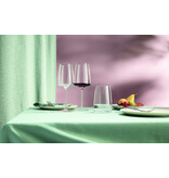Zwiesel Glas Zwiesel Glas Vivid Senses Tumbler 42 - 0.5 Ltr - 4 stuks