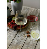 Zwiesel Glas Zwiesel Glas Vivid Senses Tumbler 42 - 0.5 Ltr - 4 stuks
