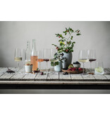 Zwiesel Glas Zwiesel Glas Vivid Senses 8-delige All Senses