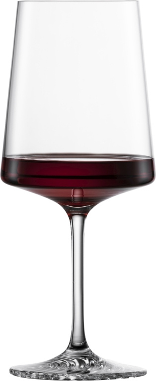 Zwiesel Glas Zwiesel Glas Echo Allround glas 0 - 0.572Ltr - 4 stuks