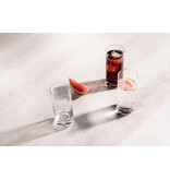 Schott Zwiesel Schott Zwiesel Simple (Convention) Whiskyglas 60 - 0.3Ltr - 6 glazen