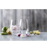Schott Zwiesel Schott Zwiesel Forté (Vina) Waterglas 42 - 0.397Ltr - 4 glazen