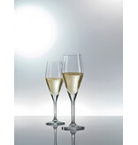 Schott Zwiesel Schott Zwiesel Audience Champagneglas met MP 77 - 0.25 Ltr - 6 stuks