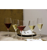 Schott Zwiesel Schott Zwiesel Audience Champagneglas met MP 77 - 0.25 Ltr - 6 stuks