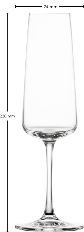 Schott Zwiesel Schott Zwiesel MioVino Champagneflûte met MP 7 - 0.26Ltr - 4 glazen