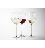 Schott Zwiesel Schott Zwiesel Fortissimo 12-delige set