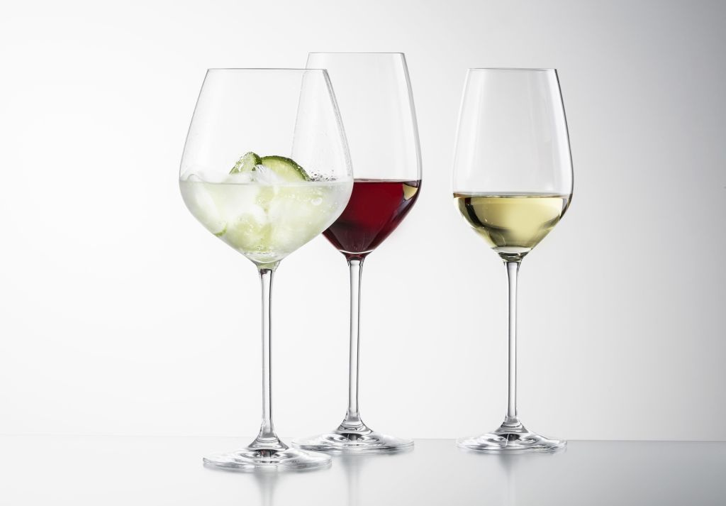 Schott Zwiesel Schott Zwiesel Fortissimo 12-delige set