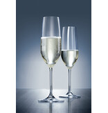Schott Zwiesel Schott Zwiesel Vina Champagneflûte met MP 77 - 0.26 Ltr - 6 stuks