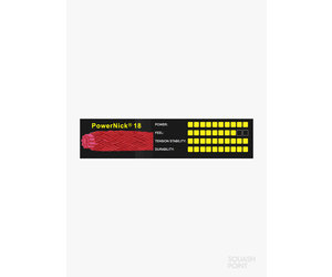 Ashaway PowerNick 18 - Saitenset 9 m