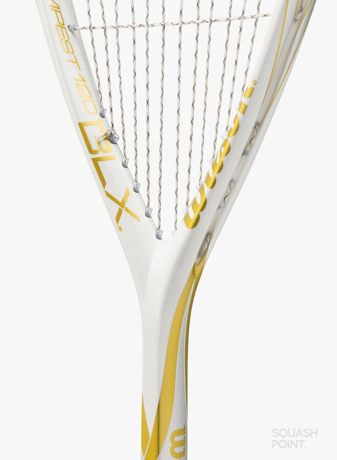 Wilson Tempest 120 BLX