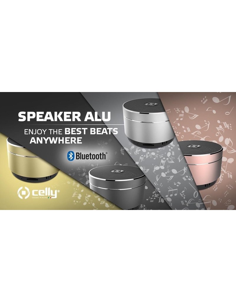 Celly Celly Draadloze Bluetooth Speaker Zilver