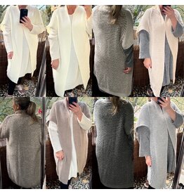 VEST GILET BEAUTY AKTIE MATEN 44 TOT 52/54