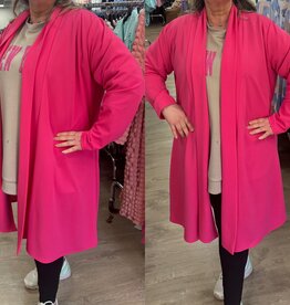 JASJE VEST MATEN 44/46 TOT 52 KLEINE 54