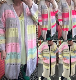 VEST LENTE 26 maten 44 tot 52 kleine 54