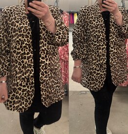 GEWELDIG PANTER JASJE MATEN 44 TOT 50/52