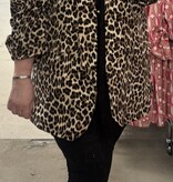 GEWELDIG PANTER JASJE MATEN 44 TOT 50/52