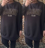 GEVOERDE SWEATER ICON MATEN 44 TOT 52