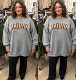 GEVOERDE SWEATER ICON MATEN 44 TOT 52