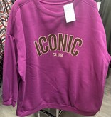 GEVOERDE SWEATER ICON MATEN 44 TOT 52