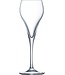 Arcoroc Brio - Verres à champagne - 16cl - (Set de 6)