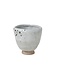 C&T Dolmen Pot Apero D7xh7cm - 13clsans Anse