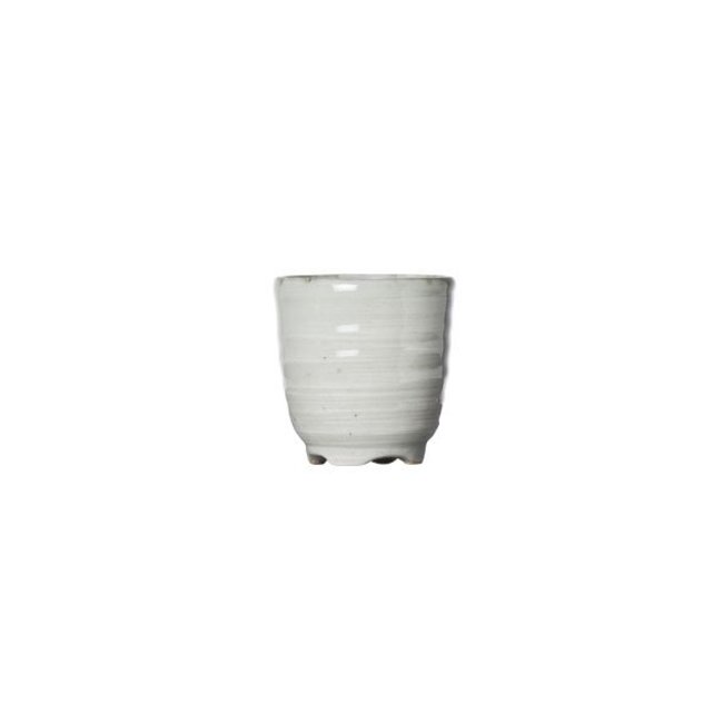 C&T Avalon - Sake Glass - Grau - D5xh5cm - 50ml - Porzellan - (6er Set)