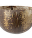 C&T Coconut Bowl Braun 35-50clpolished (6er Set)
