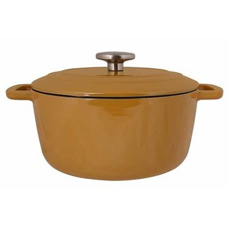 C&T Fontestic Cooking Pot Amber Goldd24cm Cast Iron With Lid
