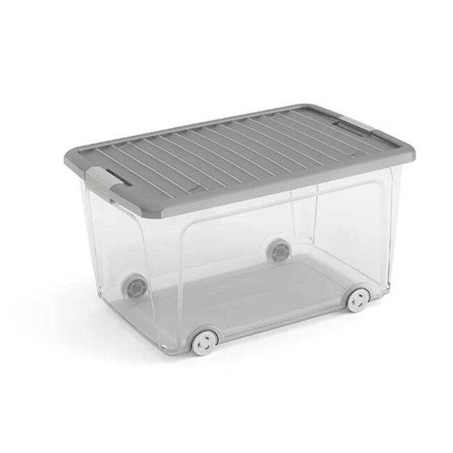 Curver W-Box - Aufbewahrungsbox - L - 56,5x39xh31,5 cm - (4er-Set)