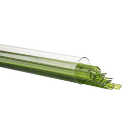 1426-401 Spring Green Transparent