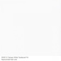 Bullseye glass 0013 frit opaque white powder 110 gram