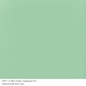 Bullseye glass 0112 frit mint green medium 110 gram