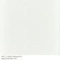 Bullseye glass 0113 frit white powder 454 gram