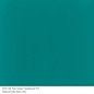 Bullseye glass 0144 frit teal green medium 110 gram
