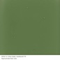 Bullseye glass 0212 frit olive green medium 454 gram