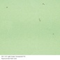 Bullseye glass 1107 frit light green coarse 110 gram