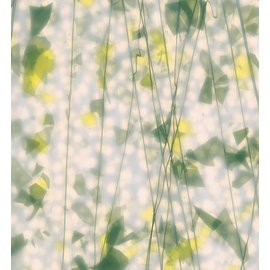 Bullseye glass 4012-000 summer: green & yellow 3 mm