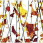 Bullseye glass 4111-000 autumn: orange, yellow & red 3 mm