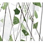 Bullseye glass 4117-000 green & white 3 mm