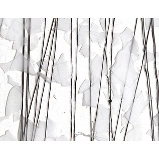 Bullseye glass 4118-000 white (with black streamers) 3 mm