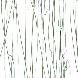 Bullseye glass 4152-000 forest green streamers on clear 3 mm
