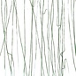 Bullseye glass 4152-000 forest green streamers on clear 3 mm